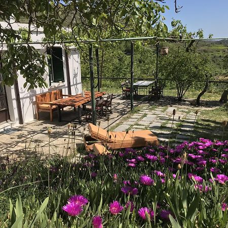 Temenia House 빌라 외부 사진