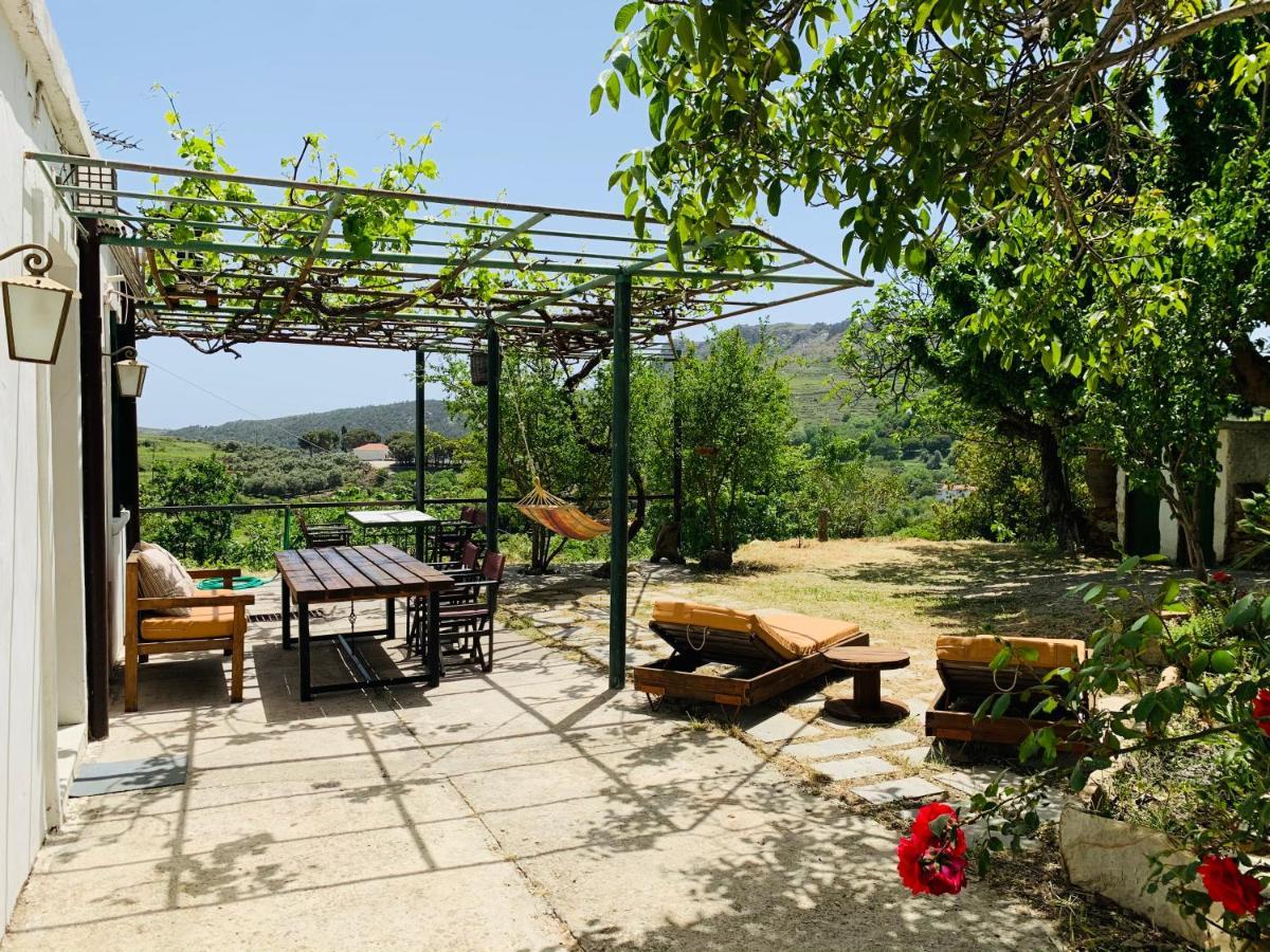 Temenia House 빌라 외부 사진