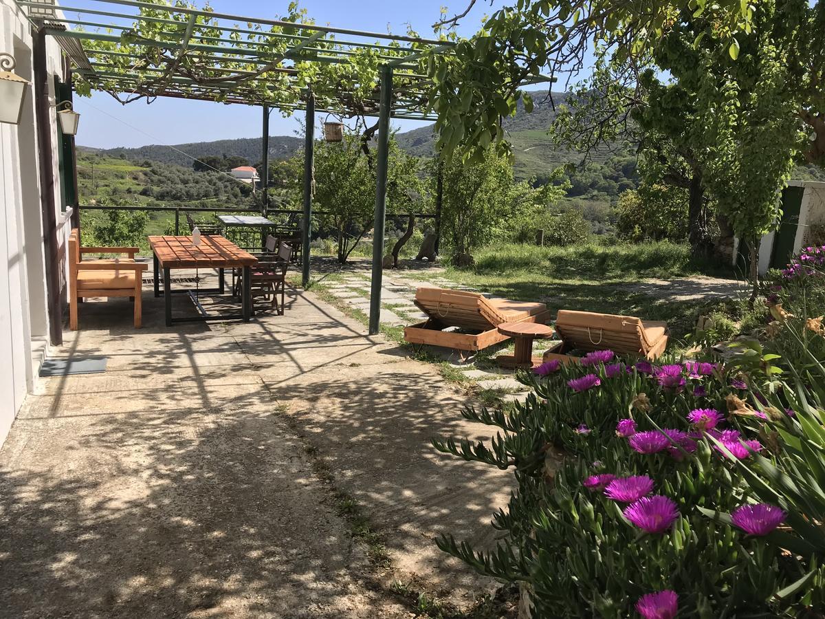 Temenia House 빌라 외부 사진